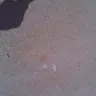 Cardinal Management Group - damage caused by hoa - negligence / damage / unprofessionalism - Photo 7