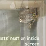 HomeAway - nightmare rental - Photo 1
