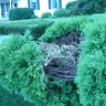 Verizon - issue with property alteration - ticket # pacu01s72r - Photo 1