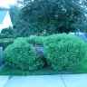 Verizon - issue with property alteration - ticket # pacu01s72r - Photo 2