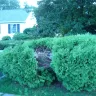 Verizon - issue with property alteration - ticket # pacu01s72r - Photo 4