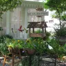 TripAdvisor - fauls complaint about our b&b - Photo 1