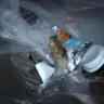 Marriott International - pool mouse and horrible customer service - Photo 2