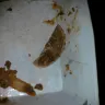 Carl's Jr. - piece of plastic in food - Photo 1