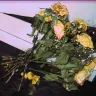 Flora2000 / Orios - rotten bouquet