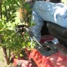 Sears - lawn tractor - Photo 2