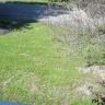 TruGreen - terrible service/ruined my lawn - Photo 1