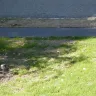 TruGreen - terrible service/ruined my lawn - Photo 2