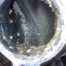Engine & Transmission World - should be imprisioned - Photo 1