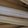 Armstrong - Powder Post Beetles - Photo 1