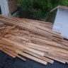 Armstrong - Powder Post Beetles - Photo 2