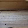 Armstrong - Powder Post Beetles - Photo 5