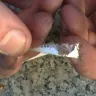 Marlboro - inch long piece of plastic found in cigarette - Photo 5