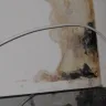 PMC Property group - black mold - Photo 1