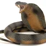 JPMorgan Chase - fraud - Photo 1