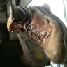 Timberland - Soles disintegrate and crack