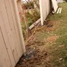 CertaPro Painters - Painting & Fence Work - Photo 6