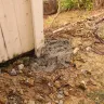 CertaPro Painters - Painting & Fence Work - Photo 2
