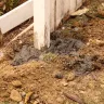 CertaPro Painters - Painting & Fence Work - Photo 5