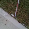 Lennar - Lennar Customer Service is a joke - Photo 2