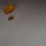 Delimex Taquitos - Bone found in a taquito!