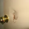 Red Roof Inn - filthy & rude service - Photo 1
