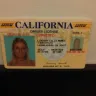Linnea Newquist - Non-Payer/Scammer - Photo 7