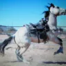 Ram's Head Ranch Maricopa Arizona - Intire family/sons