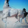 Ram's Head Ranch Maricopa Arizona - Intire family/sons