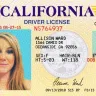 Elizabeth Giles, Allison Ward & Logan Davis - More N0n-Paying Scums