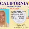 Elizabeth Giles, Allison Ward & Logan Davis - More N0n-Paying Scums