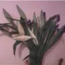 FTD Companies - terrible product - Photo 2