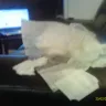 Huggies - stitching and soreness - Photo 4