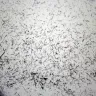 Mor Furniture - toxic fabric - Photo 2