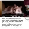 Banfield Pet Hospital - banfield almost killed my cat, then wouldn't pay for associated medical bills - Photo 1