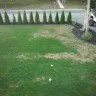 Lawn Doctor - poor service and follow up - Photo 2