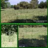 The River Club Home Owners Association (HOA) - They proclaim The River Club to be a deed restricted community while at the same time not enforcing the deed restrictions. - Photo 3