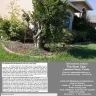 The River Club Home Owners Association (HOA) - They proclaim The River Club to be a deed restricted community while at the same time not enforcing the deed restrictions. - Photo 5