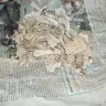 Sears - water leak in refrigerator water refill line - Photo 2