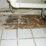 Sears - water leak in refrigerator water refill line - Photo 4