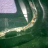 Nissan - battery acid contamenation - Photo 2
