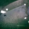 Nissan - battery acid contamenation - Photo 3