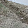 M / I Homes - Flooding our Yard - Photo 1