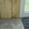 Bee Window - Junk Windows and Crap installation - Photo 1