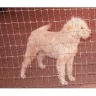 Kathleen Mattison Kathy Louis L' Heureux - Puppy Mill Disgusting Over 200 Dogs