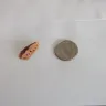 Yoplait - peach pit - Photo 1