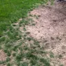 Scotts.com - ruined my lawn and mulch beds - Photo 1