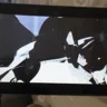 Alibaba - used tablet and fake specification - Photo 2