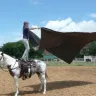 Tricia Aldridge T-R Star Ranch - Horse Training
