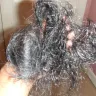 Facebook - Poor Quality - Photo 1